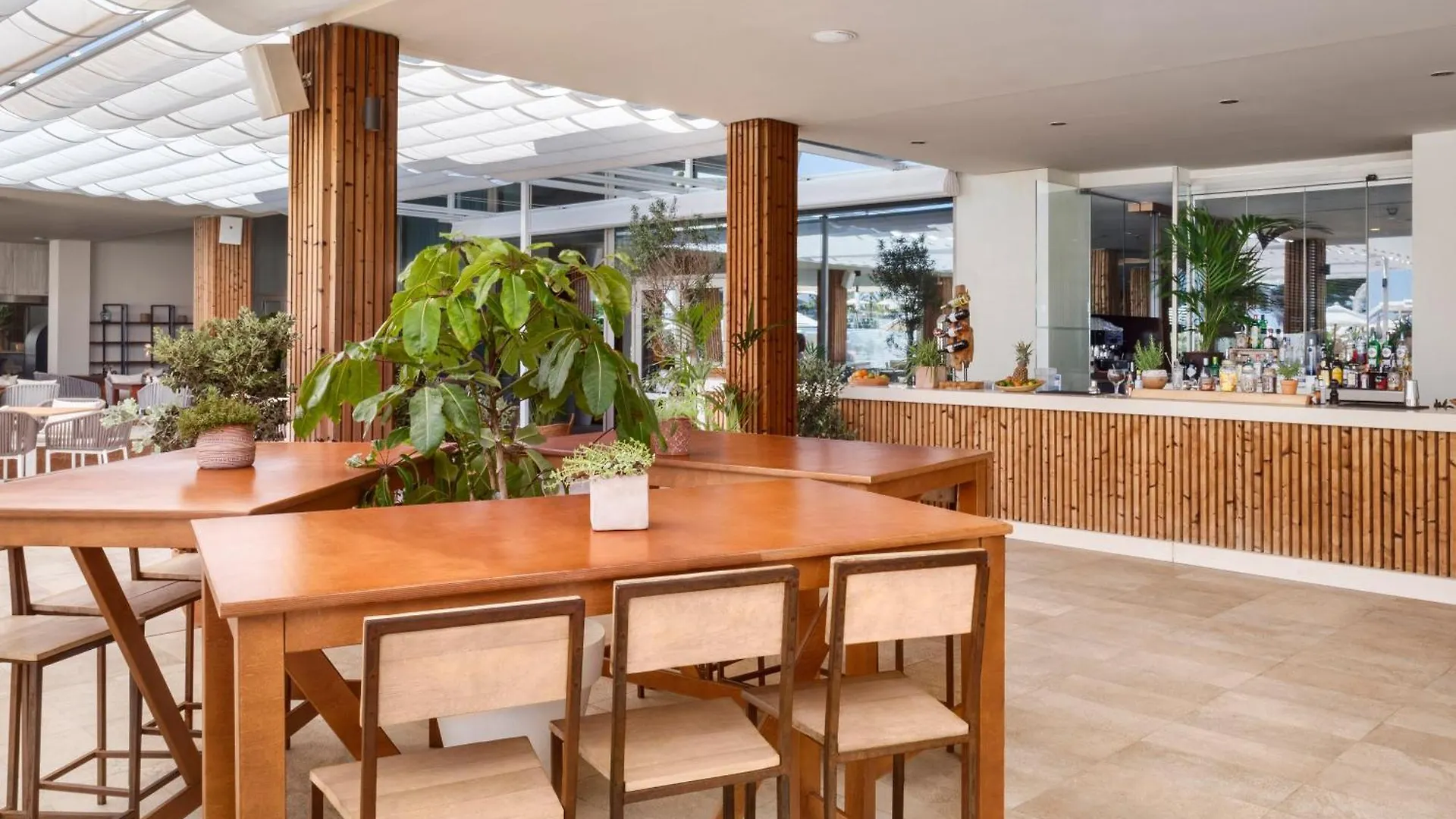 Hotel Melia South Beach Magaluf